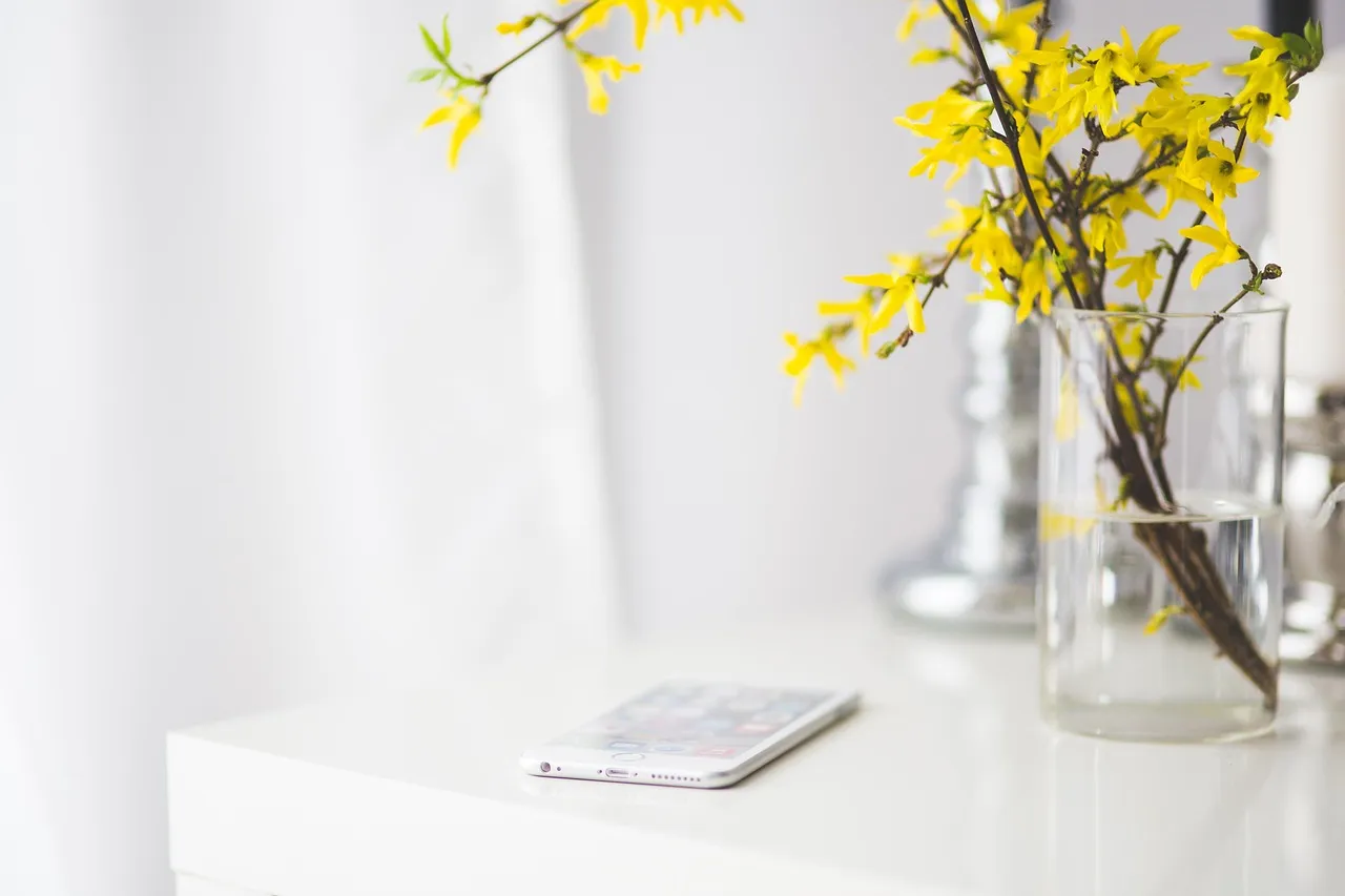 Smartphone showing app privacy settings