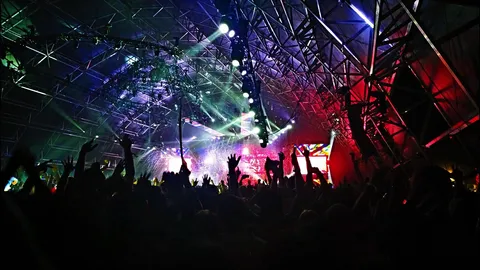 Publiczność na koncercie przed oświetloną sceną