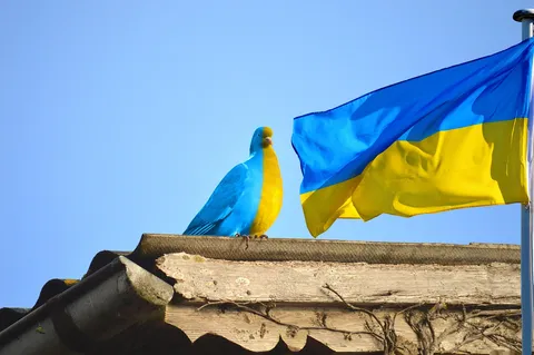 Konwój z pomocą humanitarną na drodze