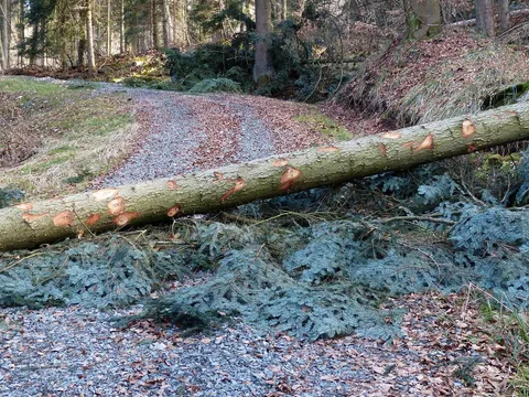 Storm Boelo: two dead and more than 90,000 homes without power