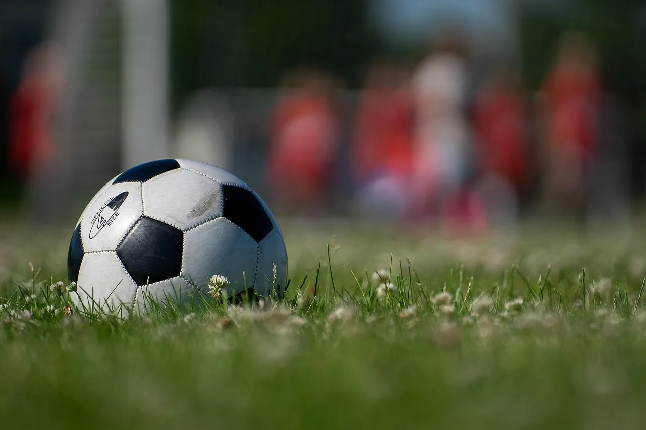 A football in the back of a goal net