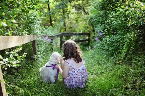 New rule from 1 November 2026: owners of banned-breed dogs must supervise children