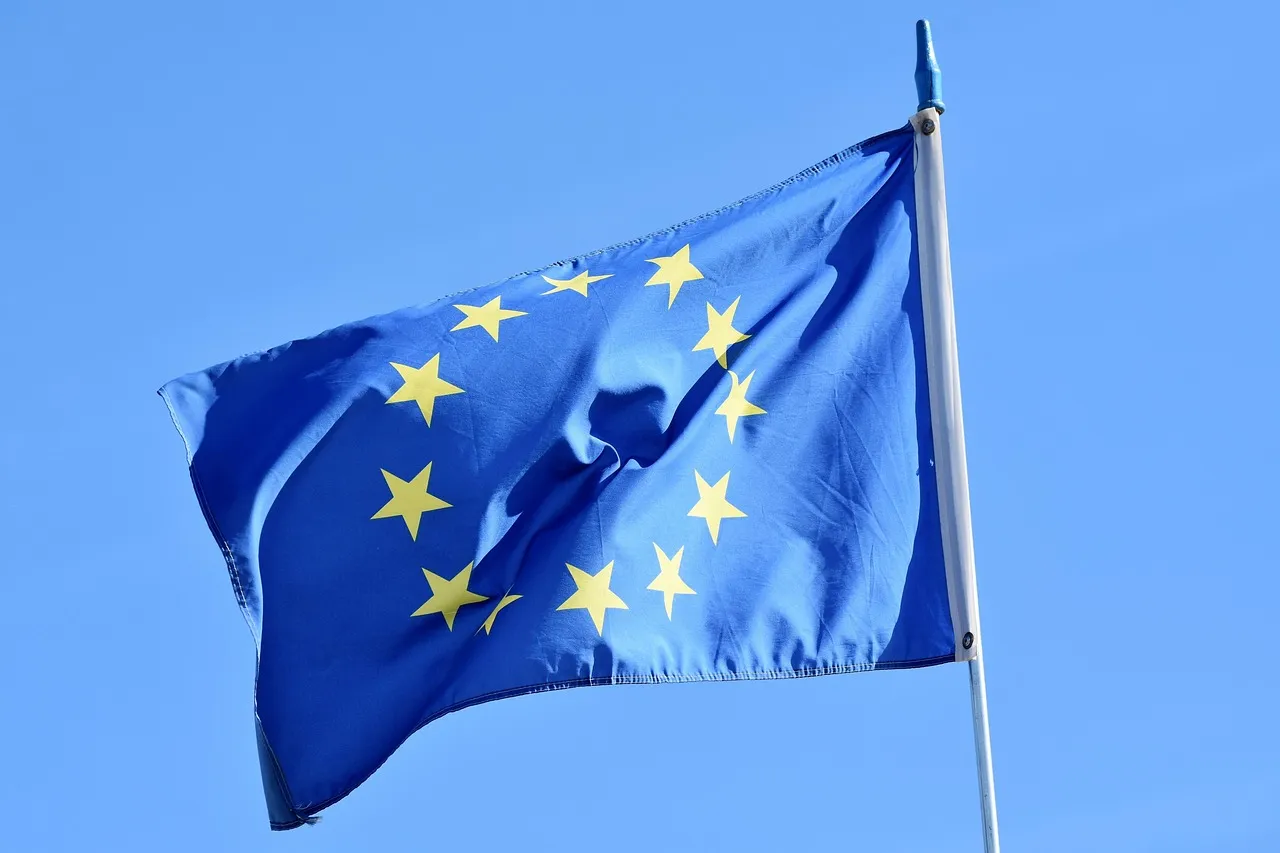 Flagi Unii Europejskiej przed budynkiem