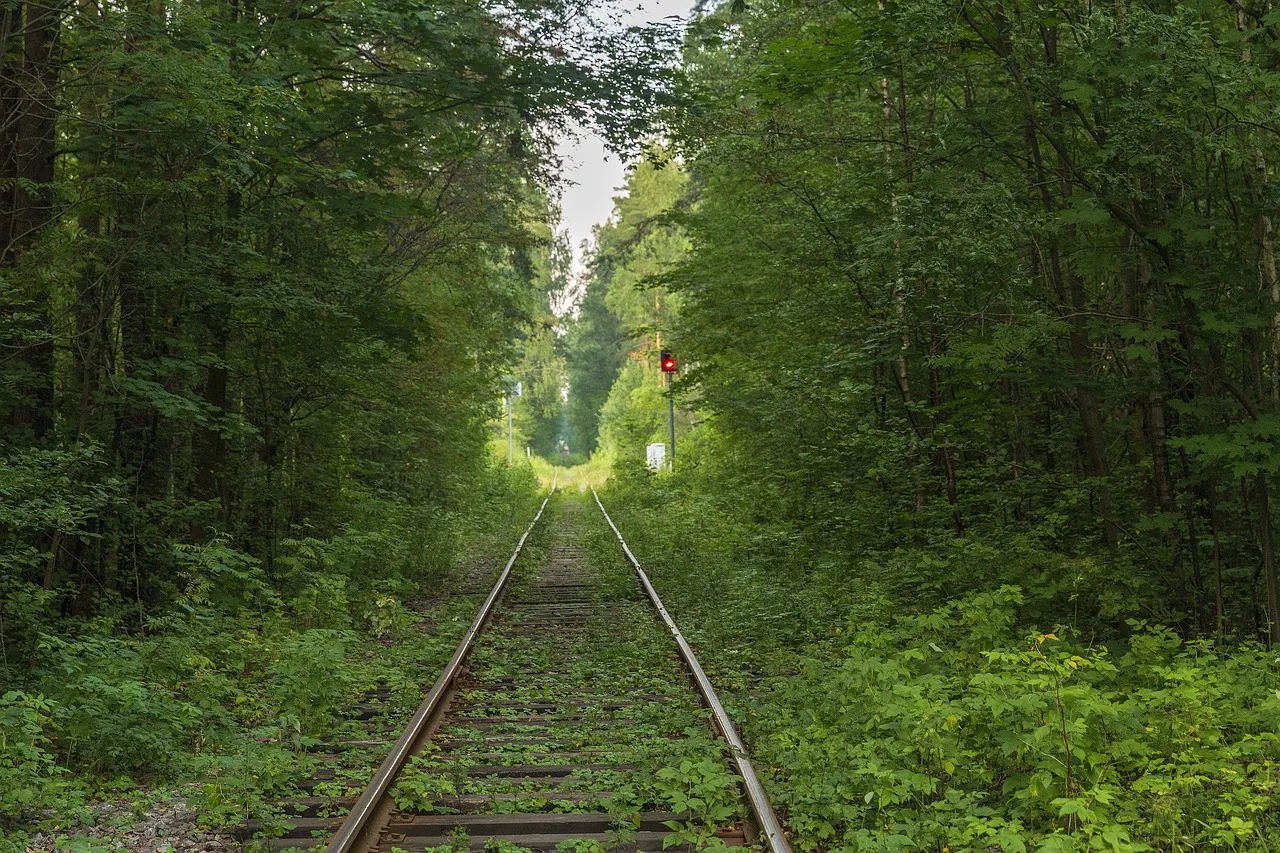 Railway tracks with a red signal