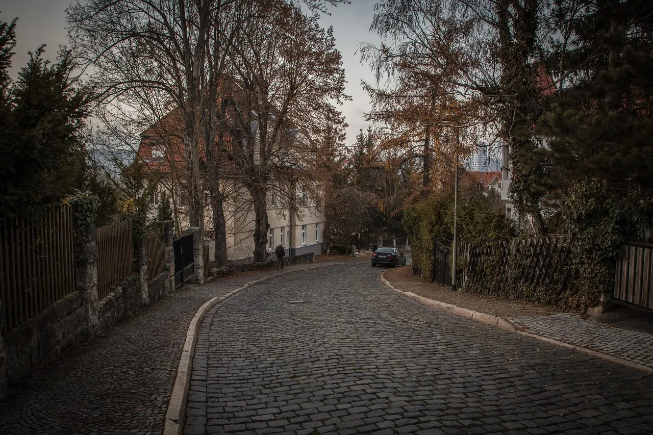 A residential street on an autumn evening
