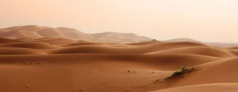 Algeria to send troops to Niger in first foreign deployment since 1973