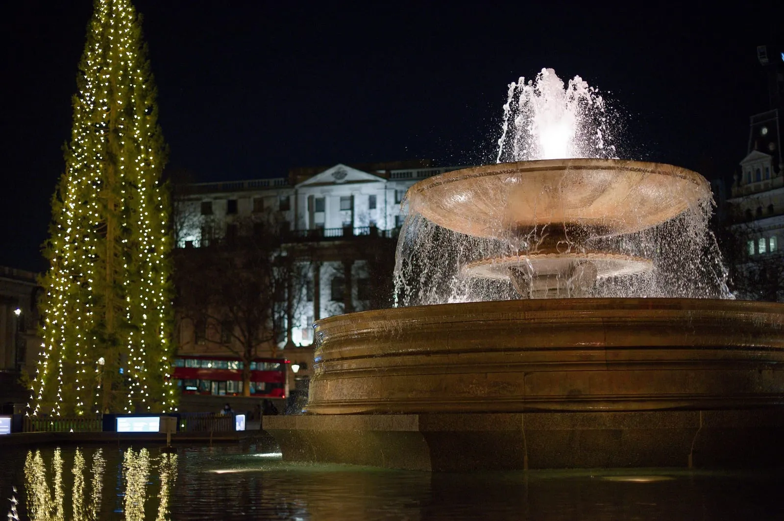The Norwegian Christmas tree in Trafalgar Square with vertical strings of lights, an illuminated fountain beside it and a red double-decker bus in the background